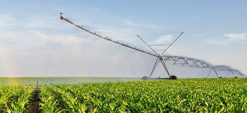 Beispielbild für die Branche der Agrarindustrie